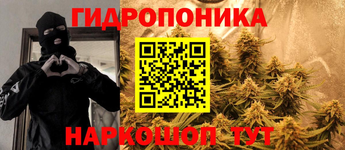 Кизляр  Марихуана планчик  Бошки марихуана индика  Вход с VPN 
